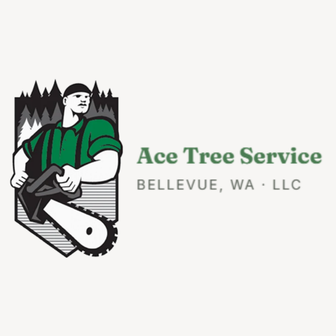 acetreeservicewallc acetreeservicewallc